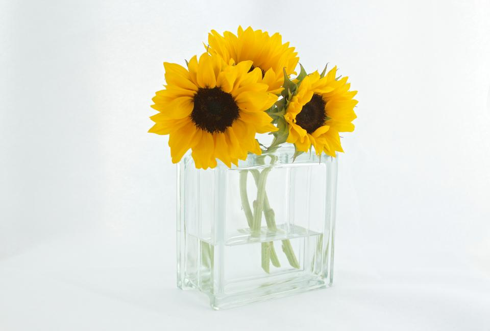 Sunflowers in a glass vase